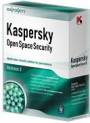 Kaspersky WorkSpace Security - 10 licenc� na 1 rok