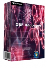 DBF Recovery Personal