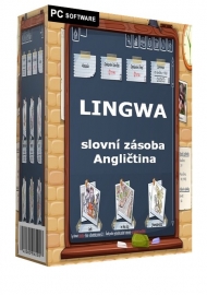 LINGWA slovní zásoba - Angličtina - až pro 3 PC