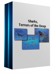 Sharks, Terrors of the Deep