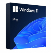 Windows 11 Pro 64 bit, elektronicky, všechny jazyky