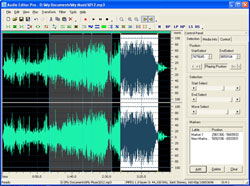 ss_audio_editor.jpg