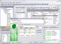 EMS SQL Manager 2005 for Postgre SQL Win edit